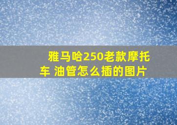 雅马哈250老款摩托车 油管怎么插的图片